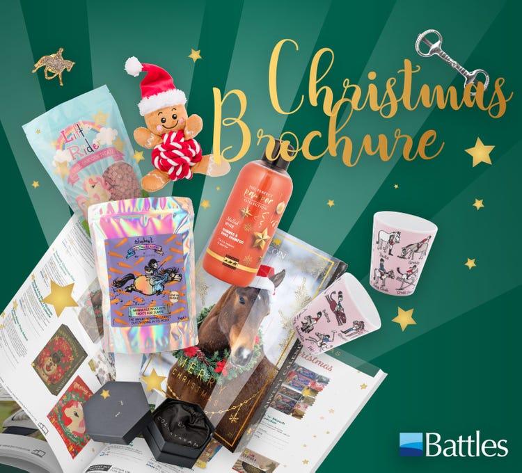 Christmas banner